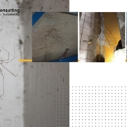 Let YCM Tells You Why Factory With Lots Of Spiderweb Is Full Of Hazard.