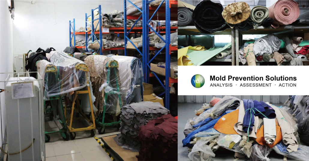 Management vs mold prevention