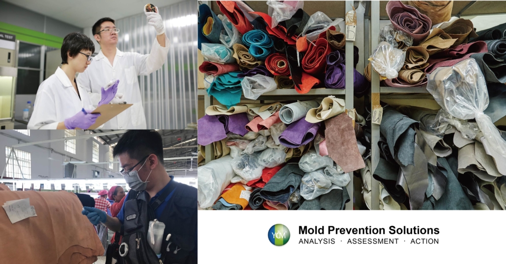 YCM-Physical mold prevention