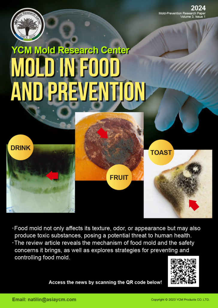 Mold in Food and Prevention