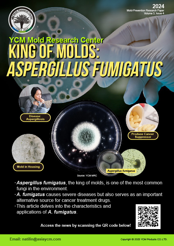 king of molds-aspergillus fumigates